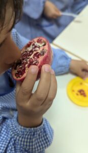Dia Mundial da Alimentação 16.outubro.2024