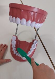 A higiene oral começa em pequenino